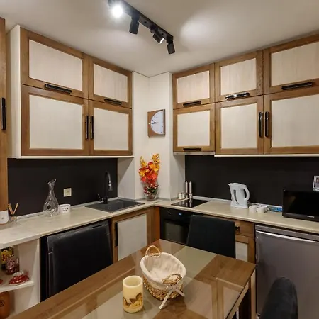 Stylish Flat In Front Of Gondola بانسكو