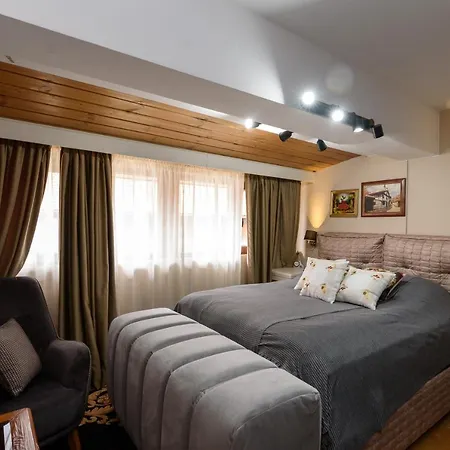 شقة Stylish Flat In Front Of Gondola بانسكو